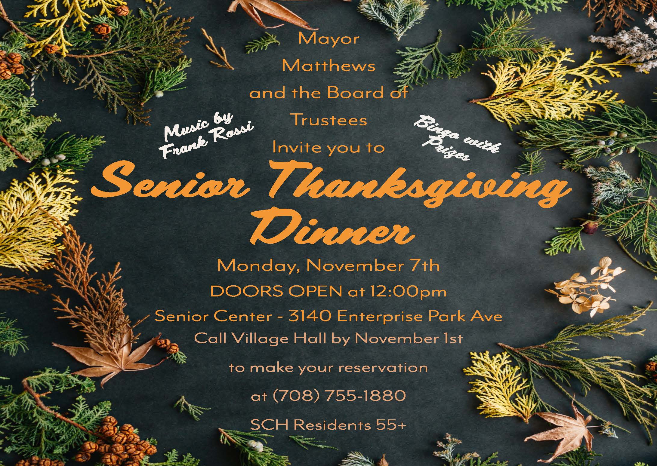 Senior Luncheon Dinner Flyer